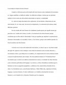 Una mirada al estudio del texto literario