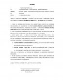 Informe sobre conveniencia para capitalizar creditos contra la sociedad