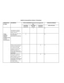 Matriz de evaluación de ciencia y tecnologia