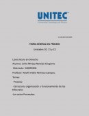 Teoria general del proceso. Etapas del proceso Penal y etapas del proceso Civil