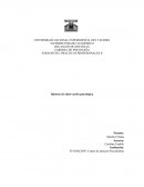 Informe de observación psicológica