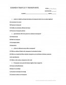 Trafico y transporte