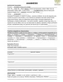 Anamnesis adultos. Síntomas: preocupado, estrés, ansiedad, insomnio