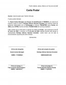 Carta de poder para Trámite Vehicular