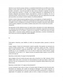 Ensayo de definición de propósito y éxito