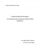 Proyecto de Portugues