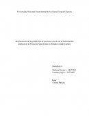 Mejoramiento de la producción de porcinos a través de la inseminación artificial