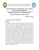 Reconocimiento del río Marañon y sus afluentes como sujetos de derechos