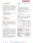 Pintura Trafico descripción