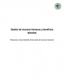 Estructura y funcionamiento de las áreas de Recursos Humanos. Caso empresarial simulado: ARIU Corporation