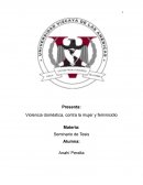 Violencia doméstica, contra la mujer y feminicidio