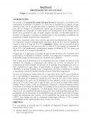 Practica. Propiedades del agua del mar