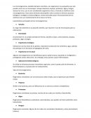 Características principales de los microorganismos