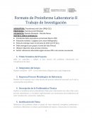 Formato de preinforme. Laboratorio II. Trabajo de investigación. Transferencia de calor