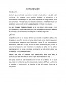 Descripción de las Etapas del Proceso de Pasteurización (HTST)