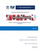 Caso de Marketing. Promoción de ventas y la legislación mexicana