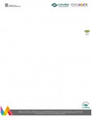 PAE de insuficiencia renal