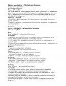 Planos anatómicos y movimiento humano