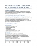 Informe de laboratorio: Ensayo triaxial CU con medición de presión de poros