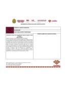 Experiencia exitosa de algún comité de apoyo