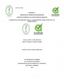 Alternativa de empaque para casabe orense como sustituto al polietileno