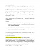 Repaso de sistema respiratorio