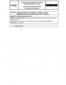 Práctica Nº 4:Elaboración de mayonesa, merengue, y salsas