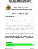 Consignas para la presentación del trabajo práctico