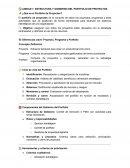 Estructura y gobierno del portfolio de proyectos