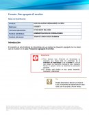Formato: Plan agregado El tornillón