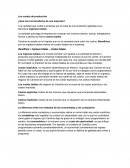 Costo de produccion microeconomia