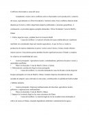 Conflictos relacionados a causa del cacao