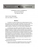 Bioética en el logro de los objetivos de desarrollo sostenible