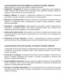 Participación del sector público en relación al medio ambiente
