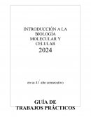Guía de trabajos prácticos