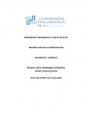 Medicamentos naturistas y quimicos
