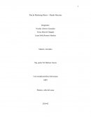 Plan de Marketing Básico – Mundo Mascotas