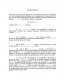 Convenio Oral Familiar pauta