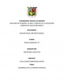 Desarrollo de la primera infancia