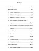 Costos y presupuestos. Backus