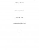 Embarazos de adolescentes