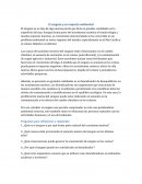 El sargazo y su impacto ambiental