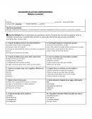 Evaluación de lectura complementaria: “Bibiana y su mundo”