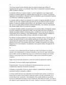 La simetría bilateral