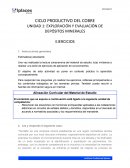 Ciclo productivo del cobre. Empresa TerraMin