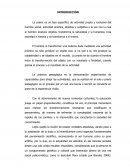 La praxis pedagógica en el Centro de Educación inicial “San Antonio”