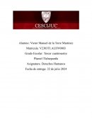 Derechos humanos, Constitución mexicana de 1917