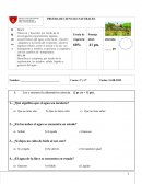 Prueba de ciencias naturales. Curso: 1° y 2°