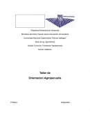 Taller de orientacion agropecuaria