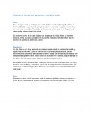 Resumen de 'La bruja bella y el solitario'